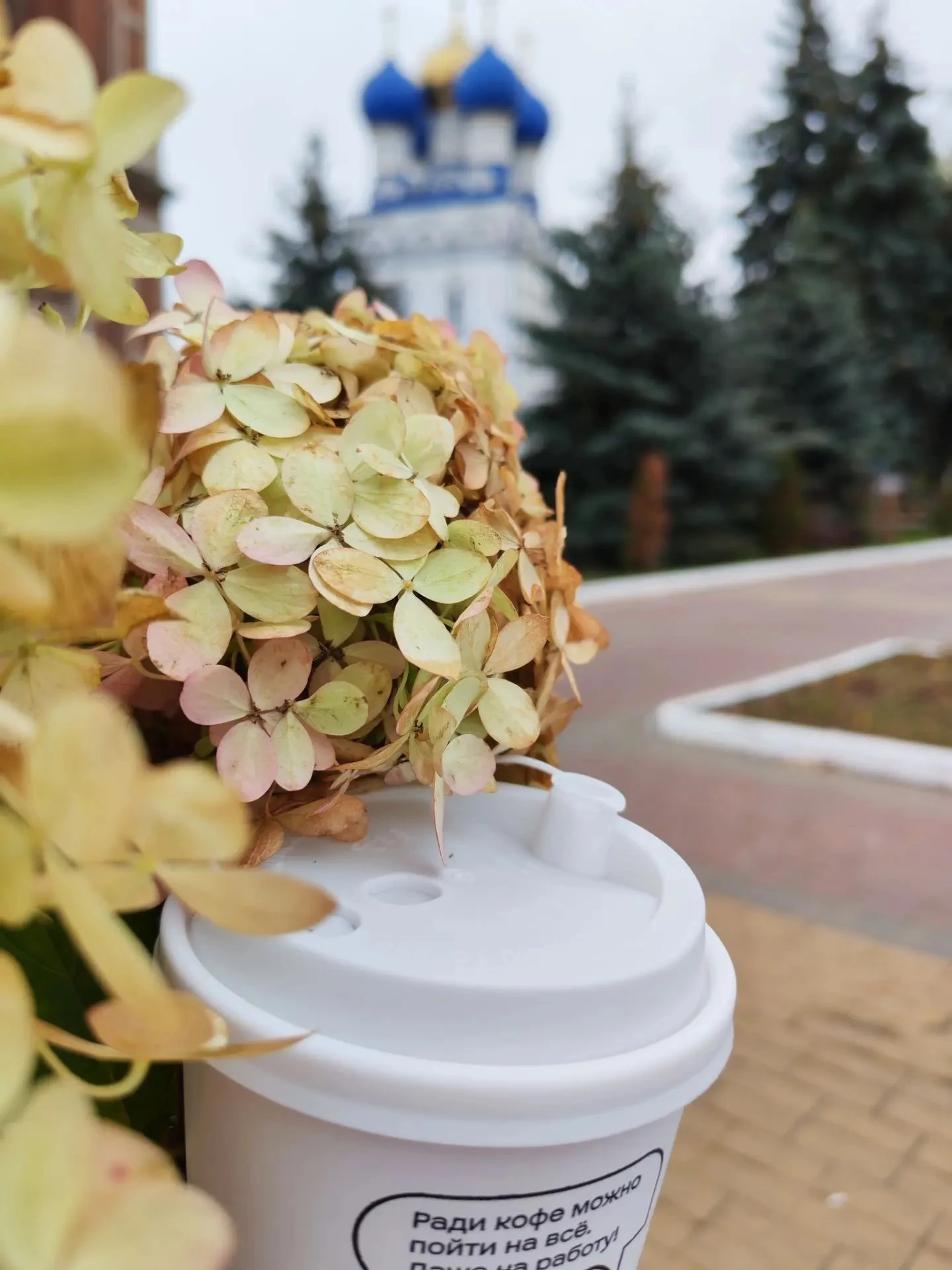 Доброе утро, Бронницы!