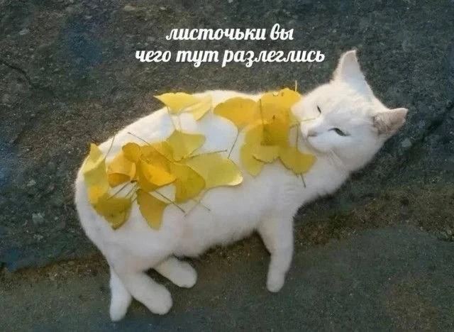 ❤️ Планы на выходные: выбирайте свой вариант