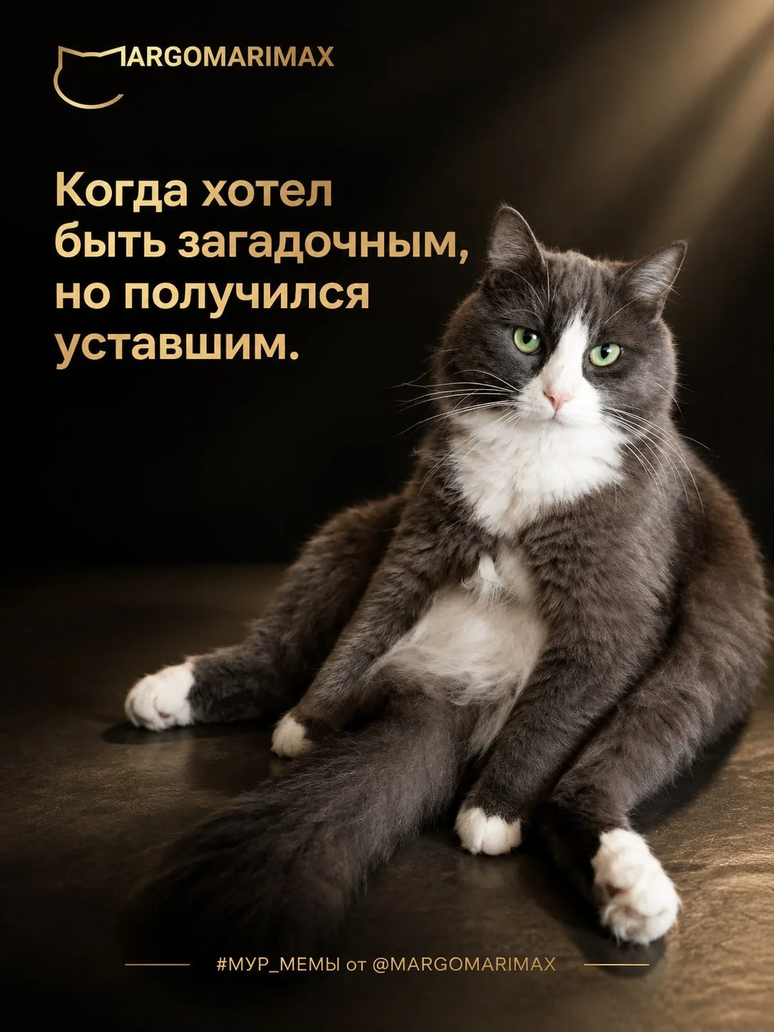 #МУР_МЕМЫ