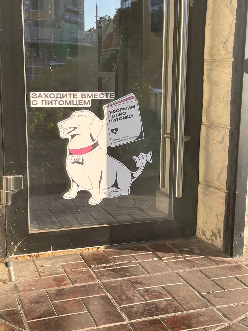 Dog-friendly или питомцам не место?