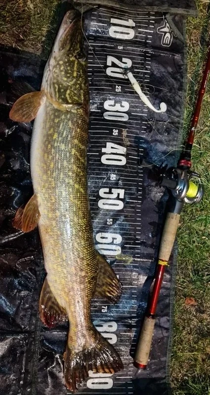 📌 Силиконовые приманки 100-125 мм. 👇🏻