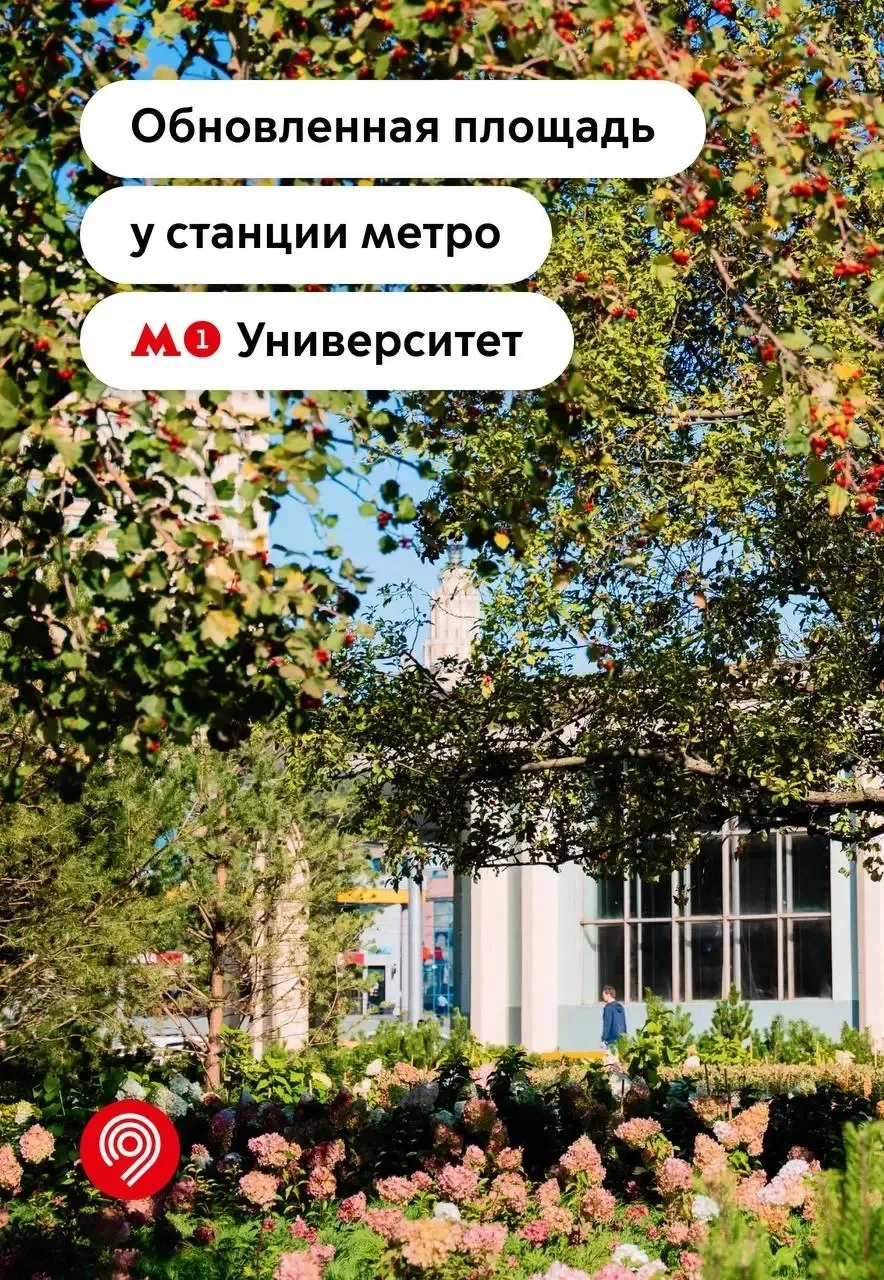 Яблони, сирень и новые дорожки: обновили площадь у метро «Университет»