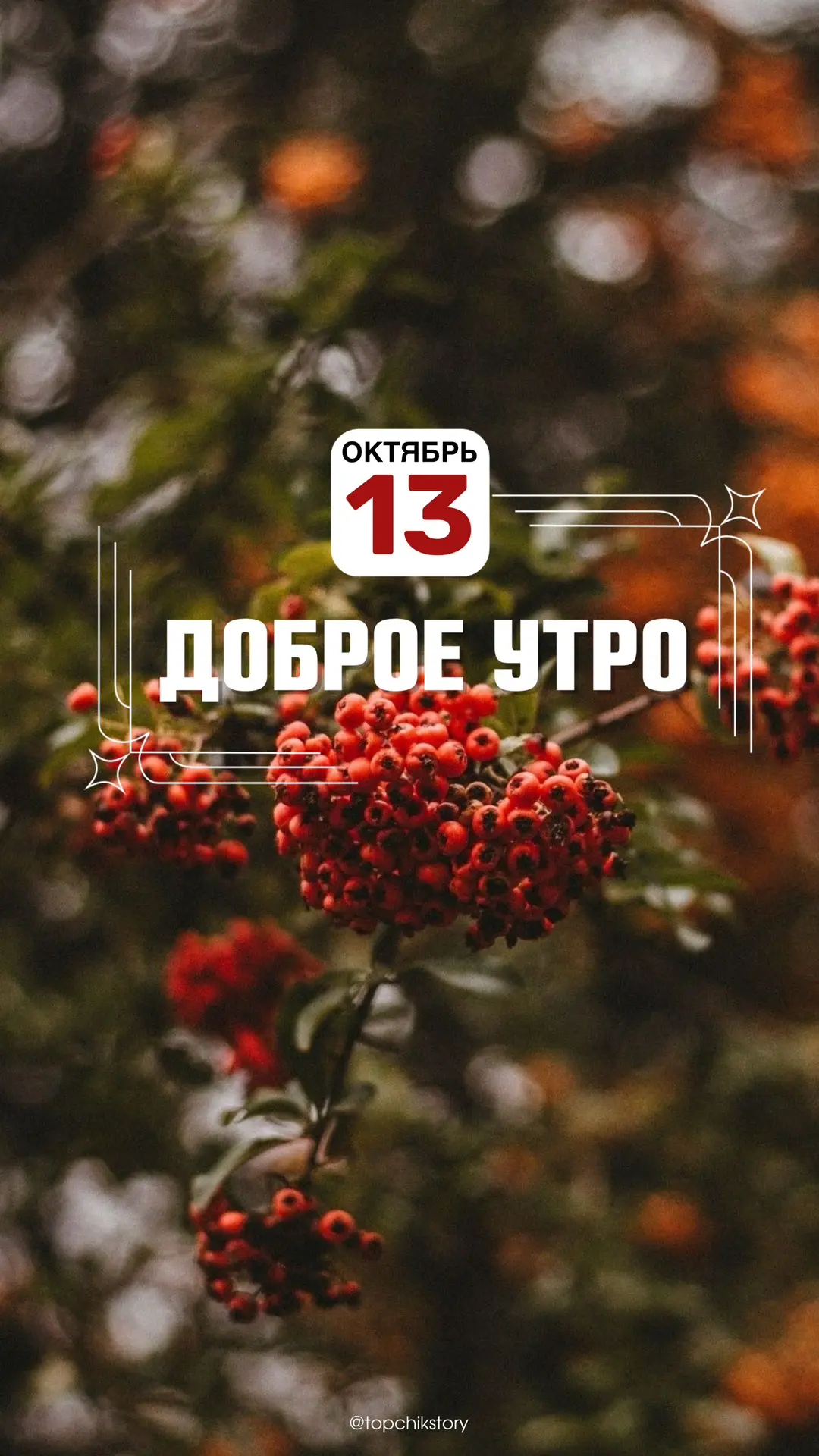 Очередная партия сторис на каждый день подъехала 😎