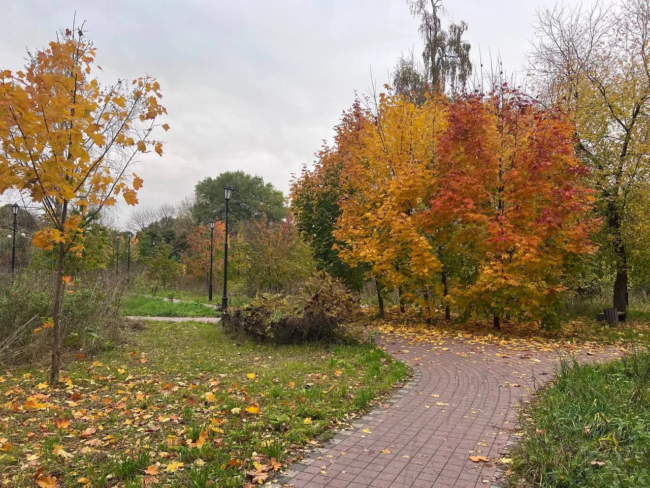 Многочисленные краски осени на Черкизовском пруду.