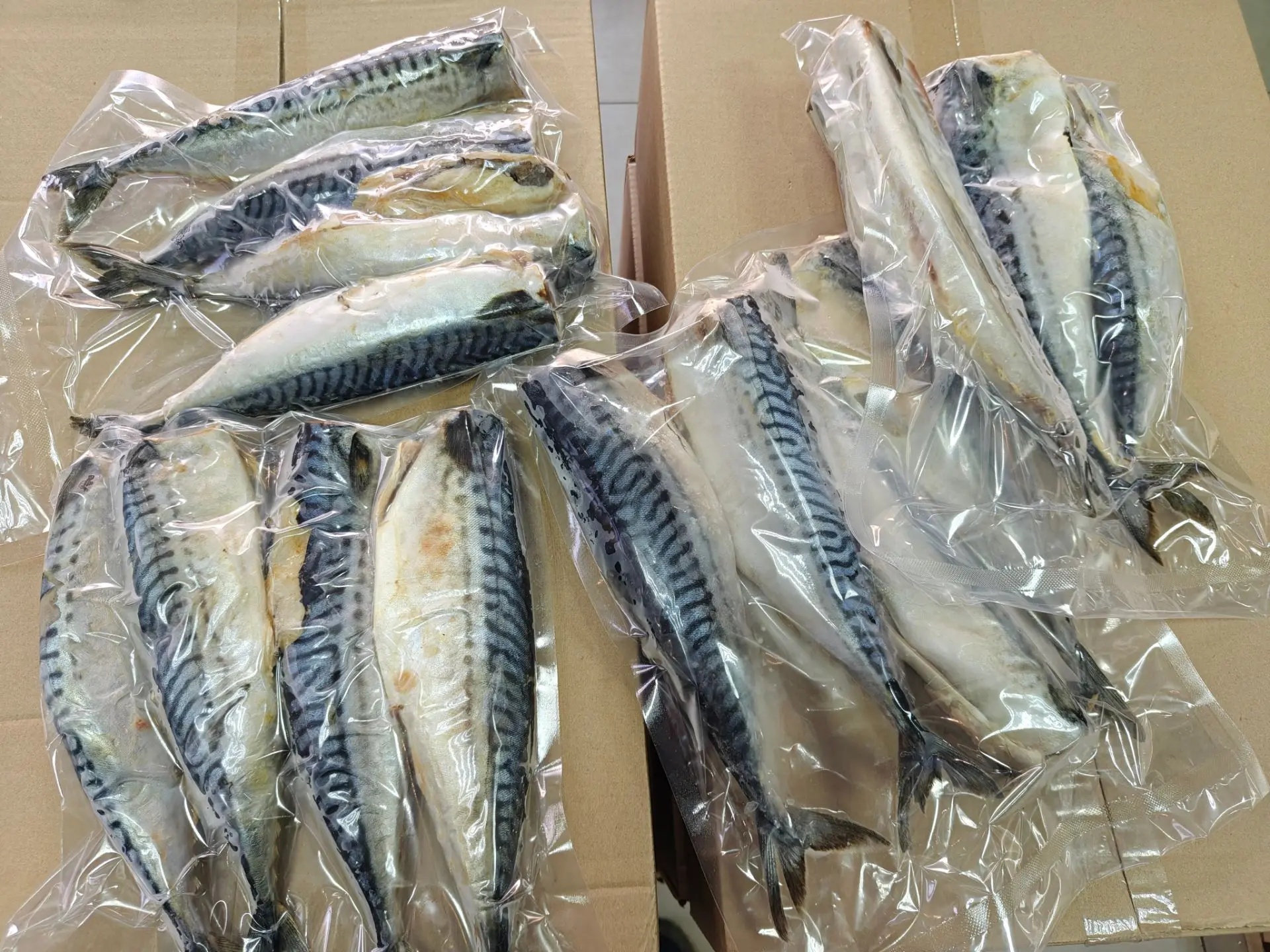 Скумбрия 400₽/1кг