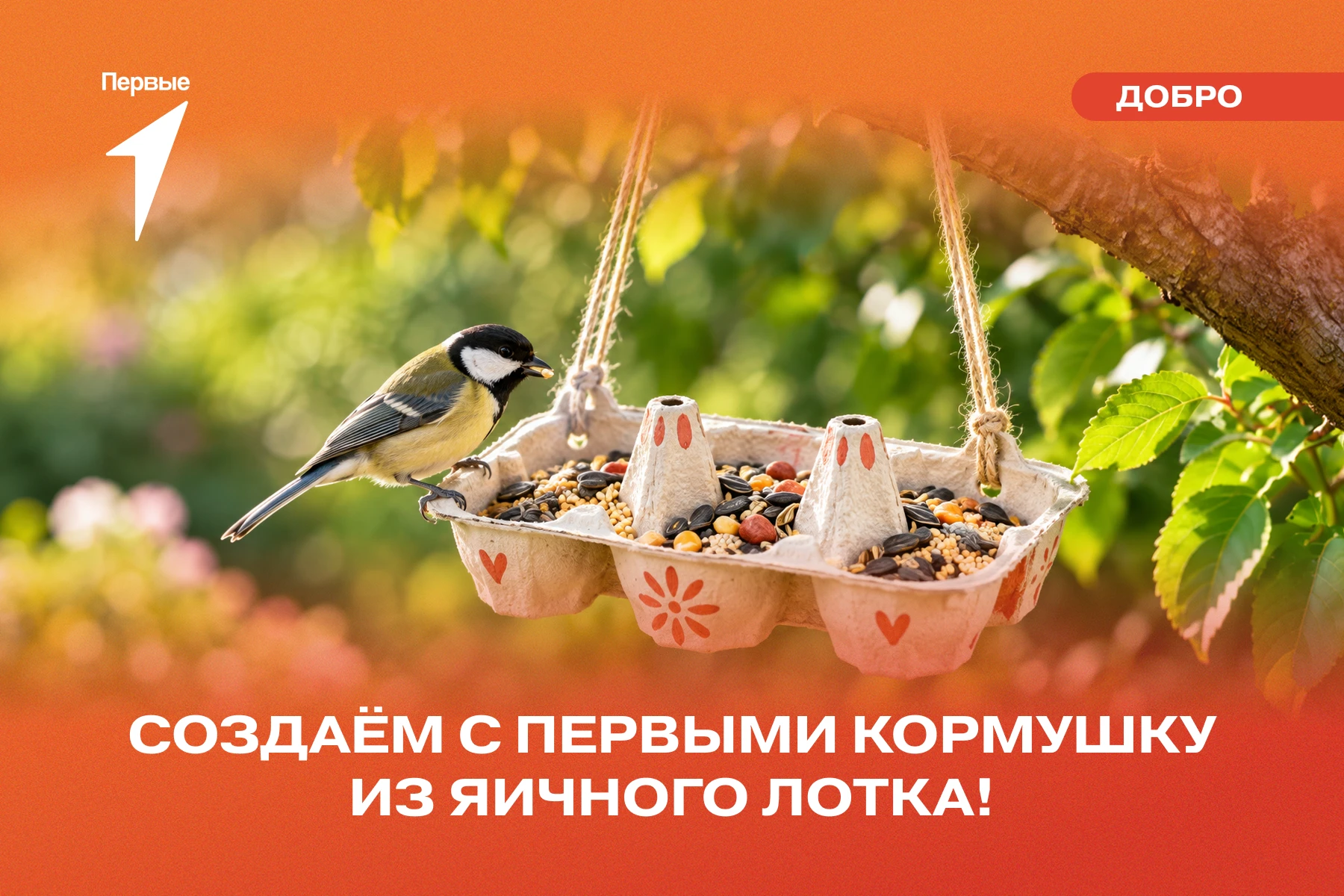 🐦 А ты уже повесил кормушку для птиц?
