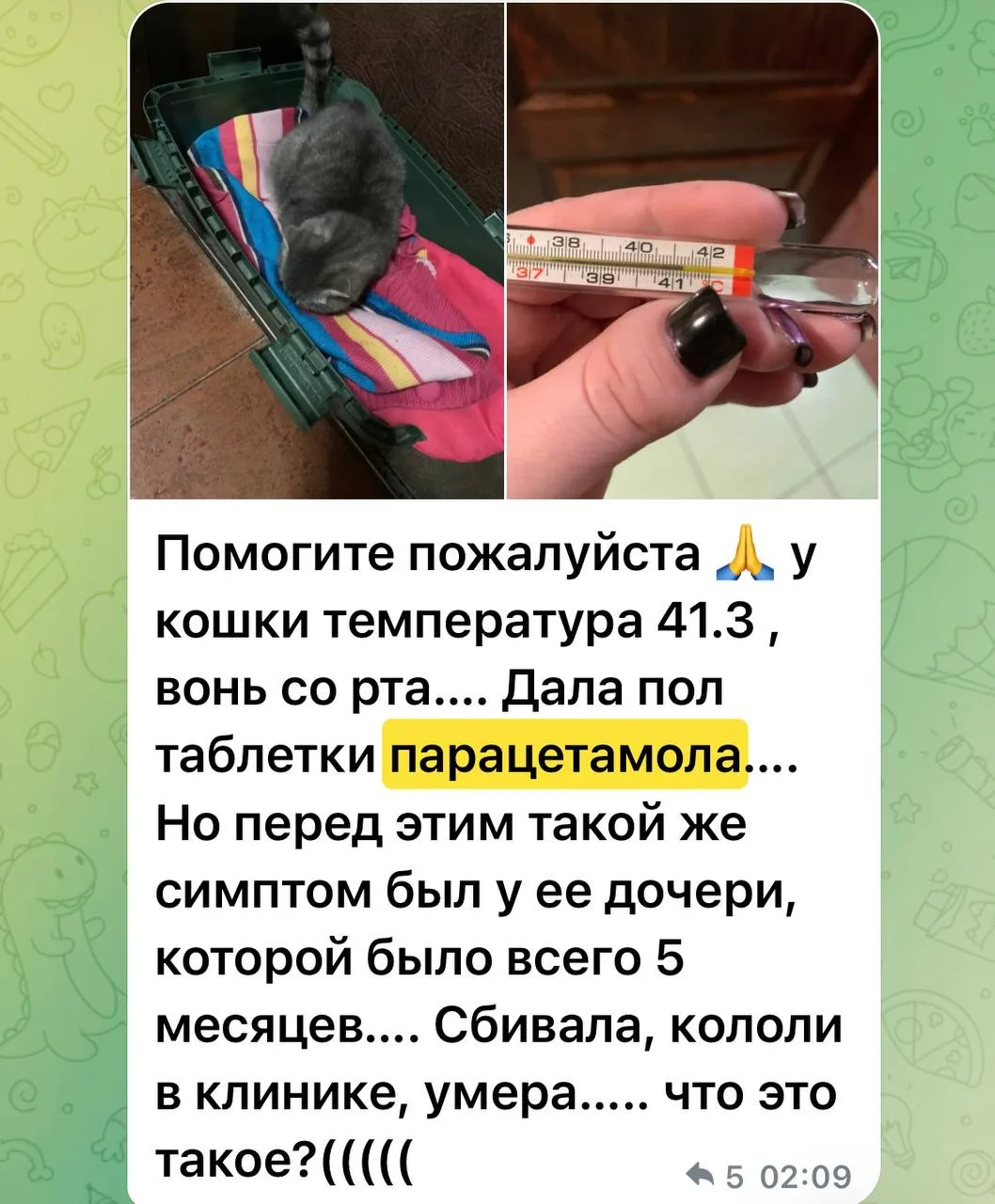Но, к сожалению, именно эти препараты хватают владельцы, когда хотят помочь питомцу. По...