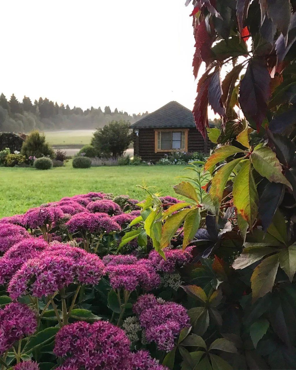 💚🏡Завораживающая дача Ольги из Вологды.