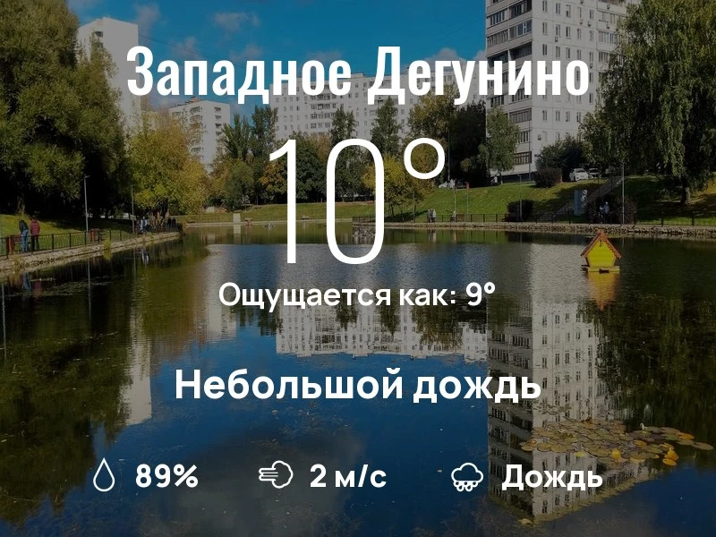 Что с погодой в Западном Дегунино?