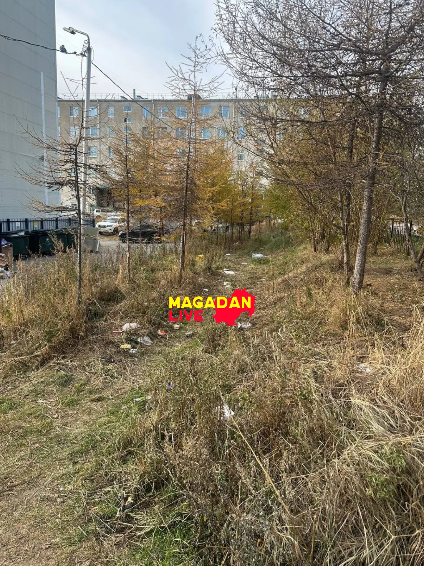 Гагарина 44/1 уборку не проводят территории,повсюду крысы,мусор,среди этого гуляют дети...