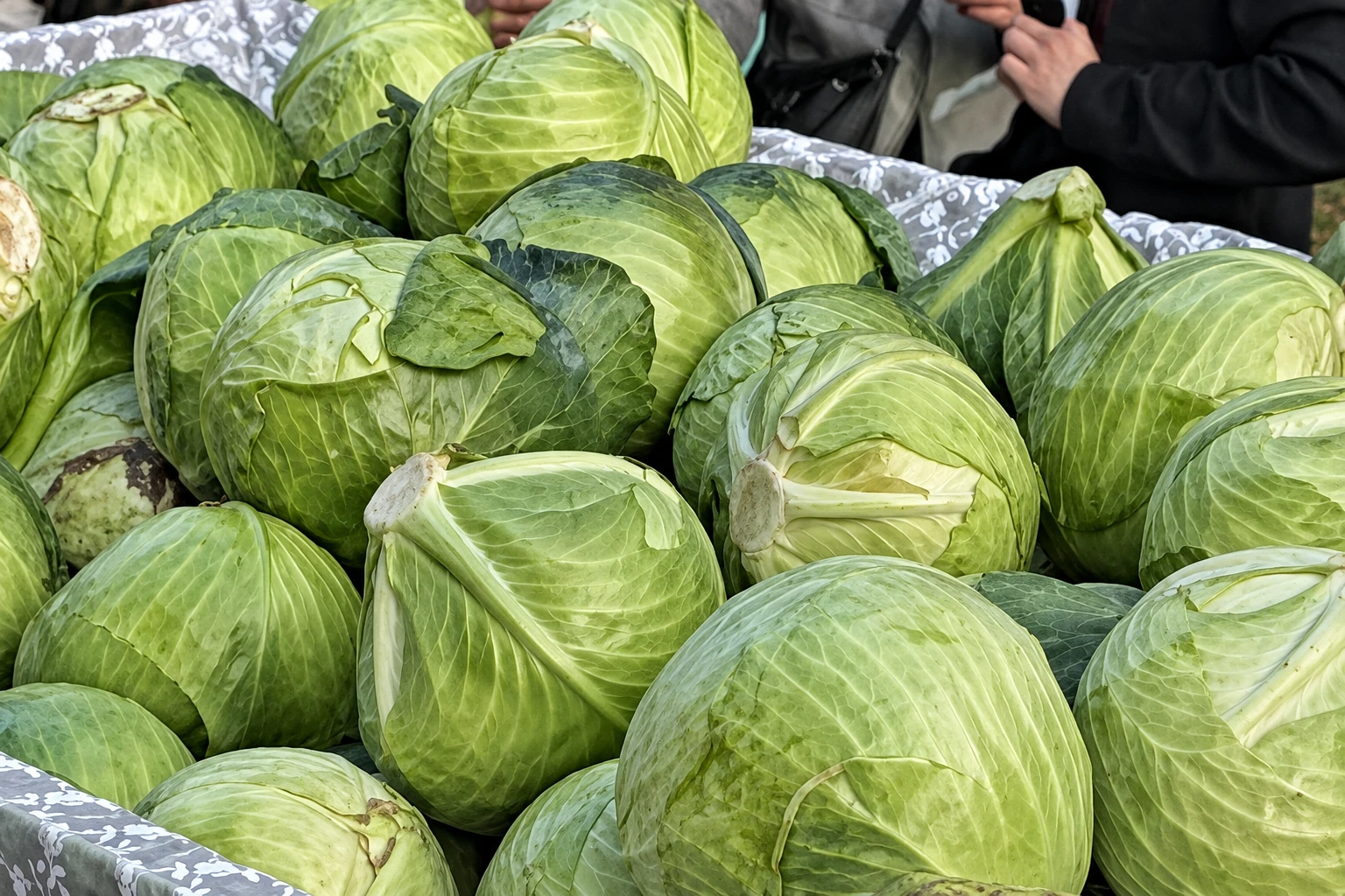 🍞 Ложечку за маму, ложечку за папу