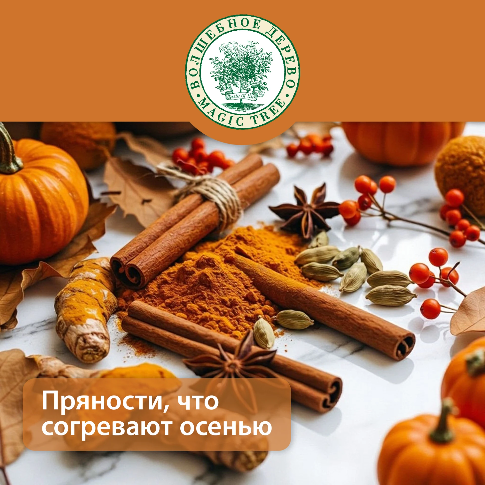 🍂 Пряная осень с брендом «Волшебное Дерево»