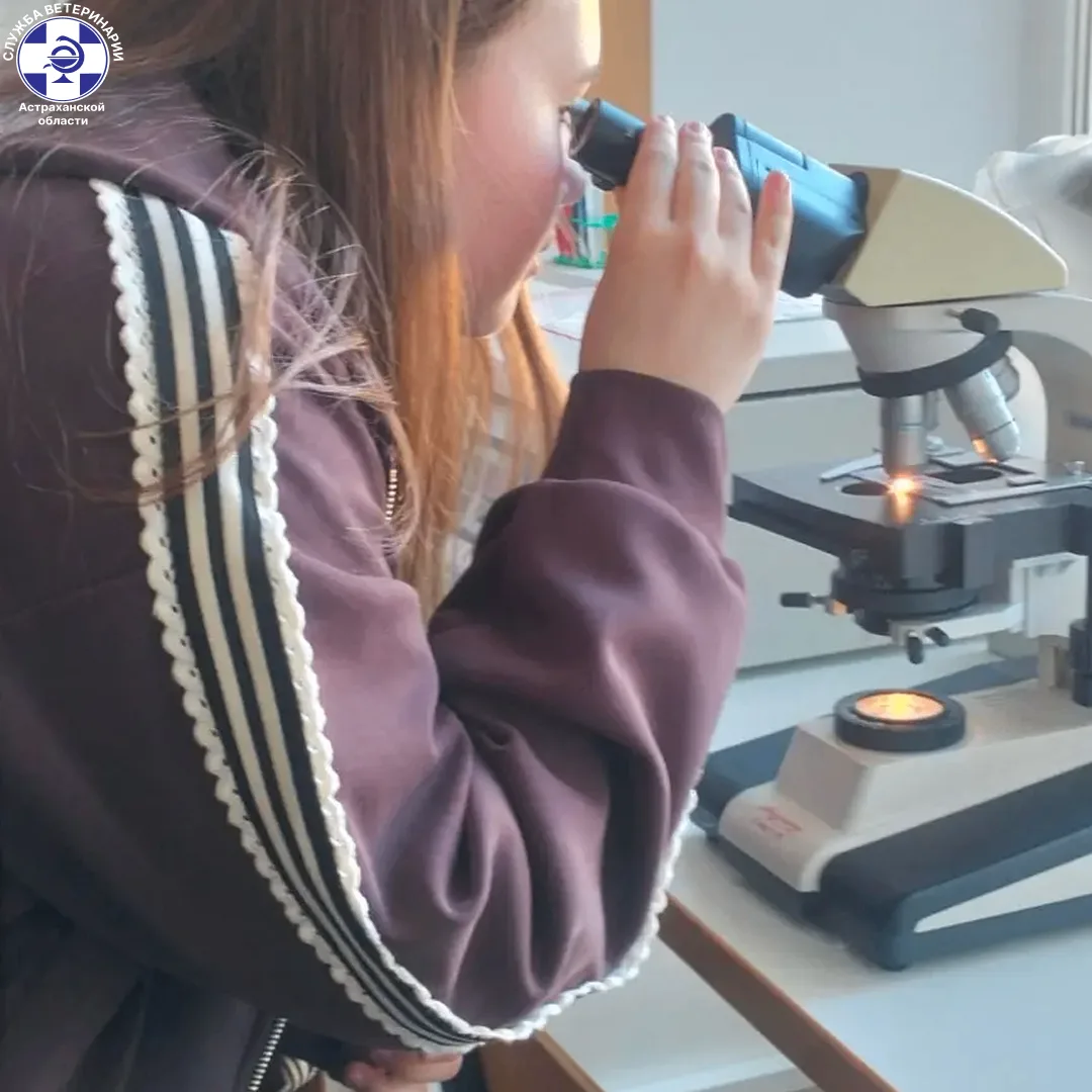 👩‍🔬 Как рождается диагноз? Узнали школьники Астрахани!