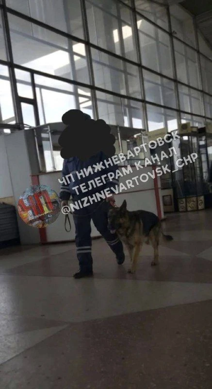 Пишут, что сегодня кинологи всех просили выйти из здания вокзала. Причина действий неиз...