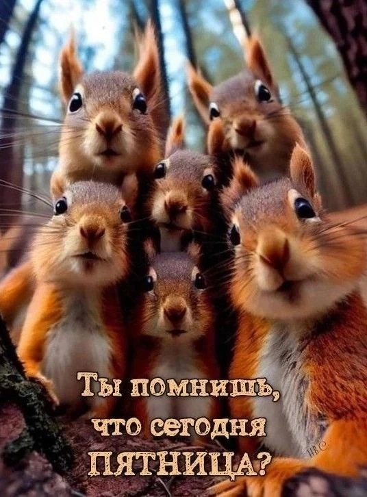 https://max.ru/channel_kartinka_advice