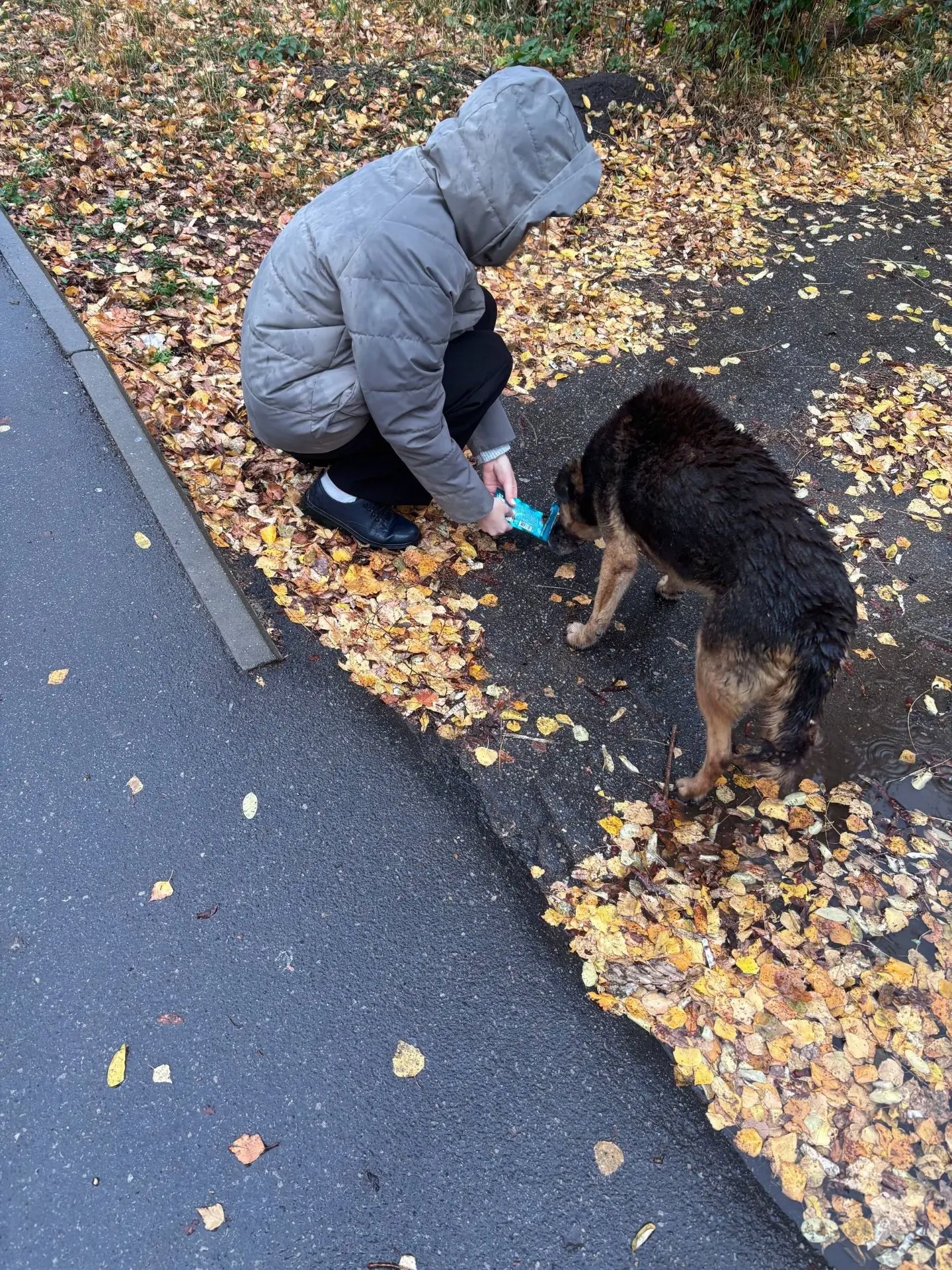 🍂 Осеннее тепло: добро, которому не страшен дождь!