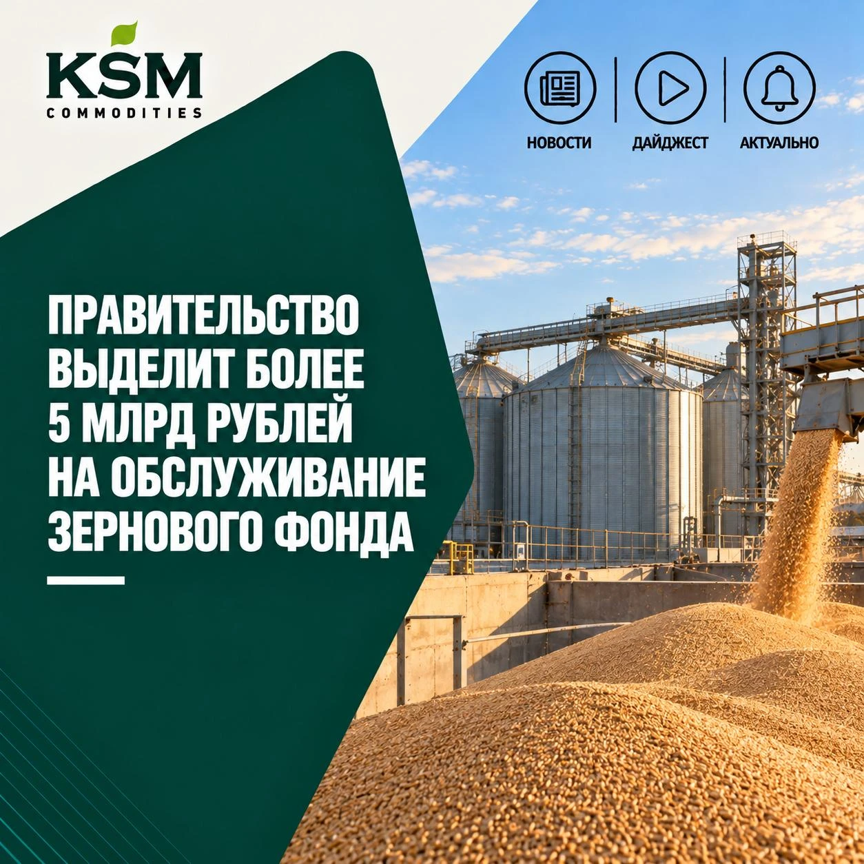 🌾 Правительство выделит более 5 млрд рублей на обслуживание зернового фонда