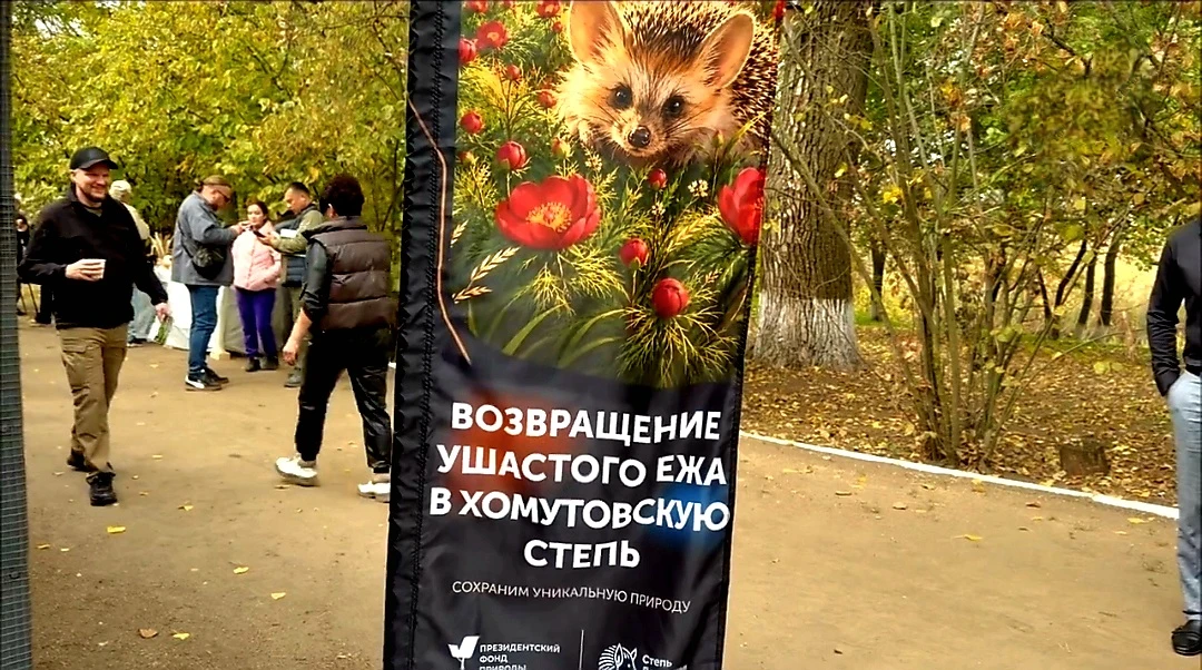 Хомутовская степь отмечает вековой юбилей - целых 100 лет она остаётся одним из самых ц...