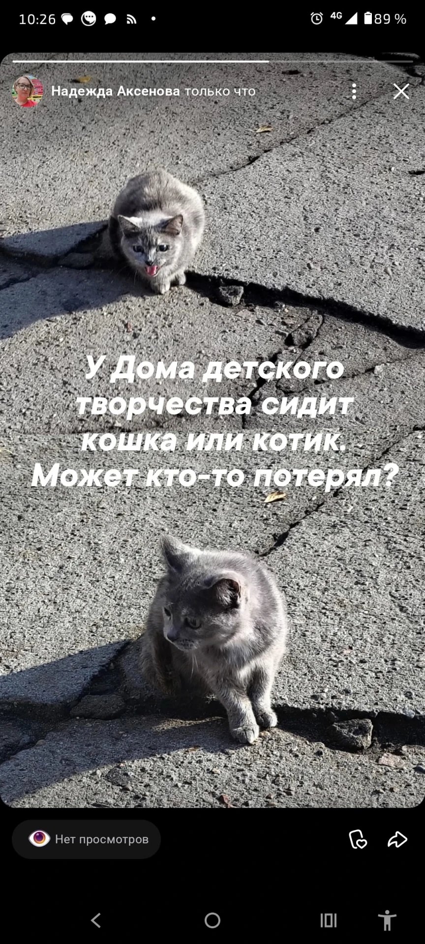 🐱❤️ ЕЩЁ ОДНА ПОТЕРЯШКА ЗА СЕГОДНЯ! ПОМОЖЕМ НАЙТИ ХОЗЯЕВ!