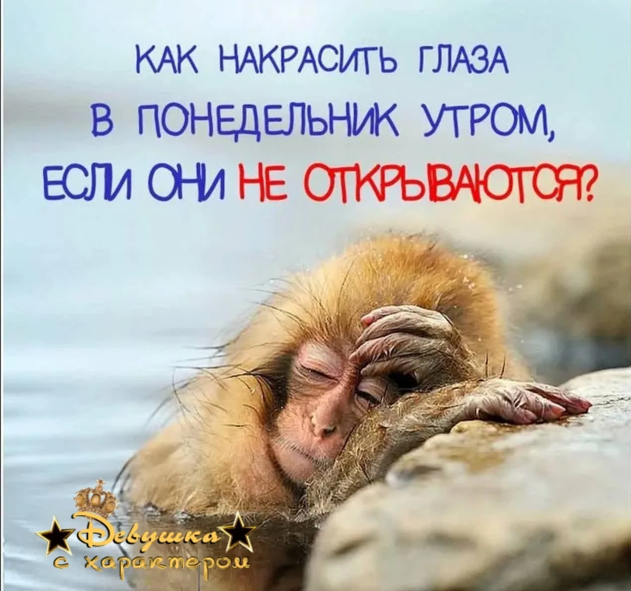 👑 Мадам с характером|