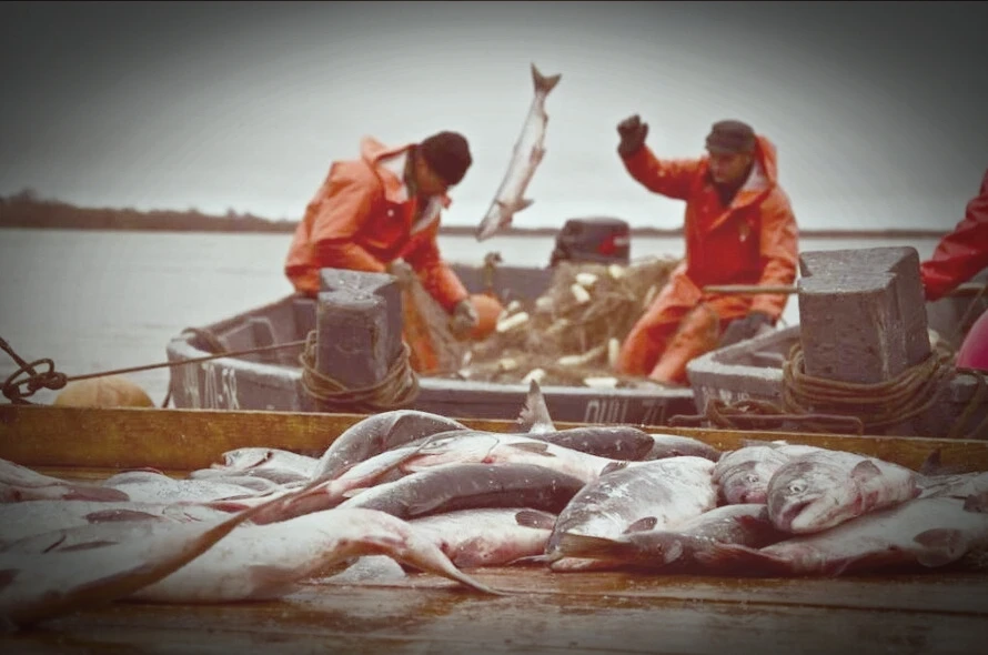 🐟 80% рыбопромышленных компаний на Сахалине могут заморозить работу