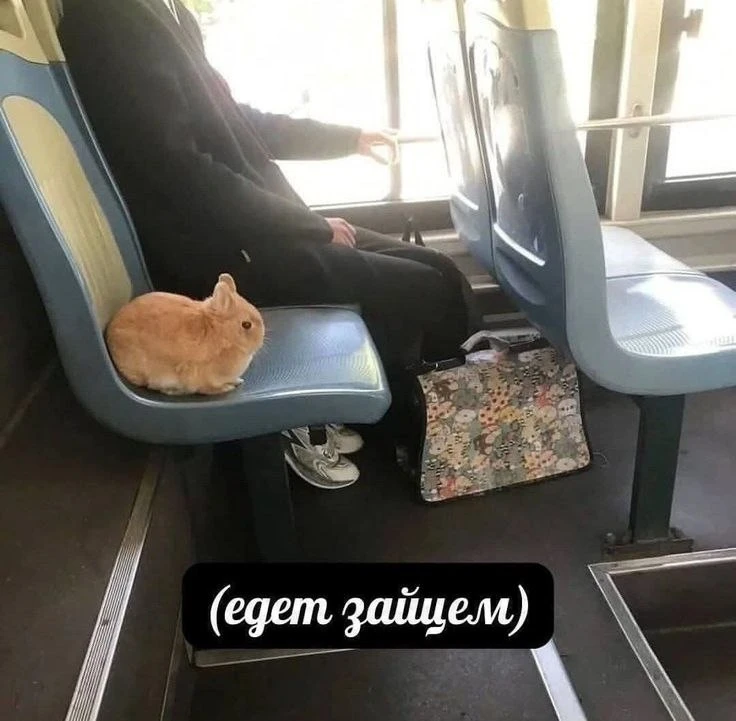 ❗️ Проезд в электротранспорте Ульяновска подорожает с 1 ноября.