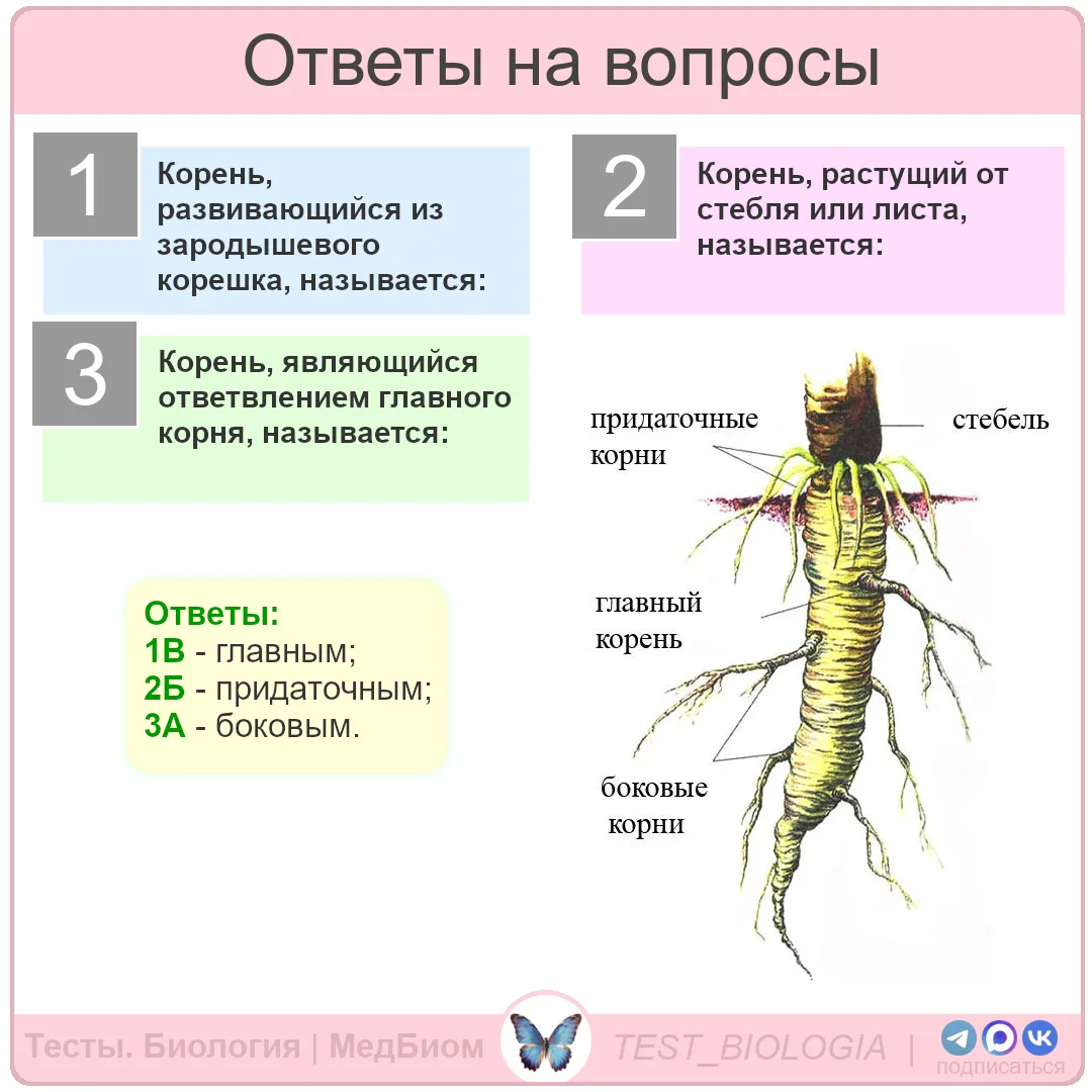 ⬆️ Ответы на вопросы