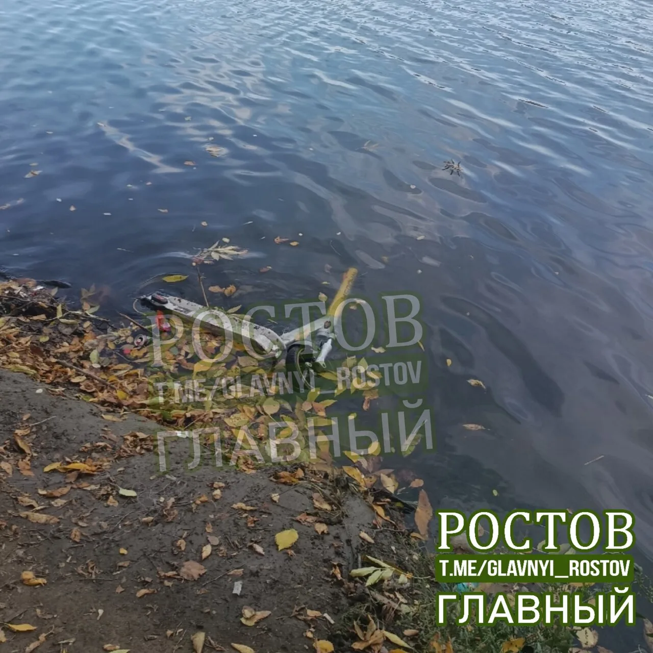 🛴 "Кто-то спустил самокат в воду. Возможно, сервис разыскивает эту технику. Достать са...
