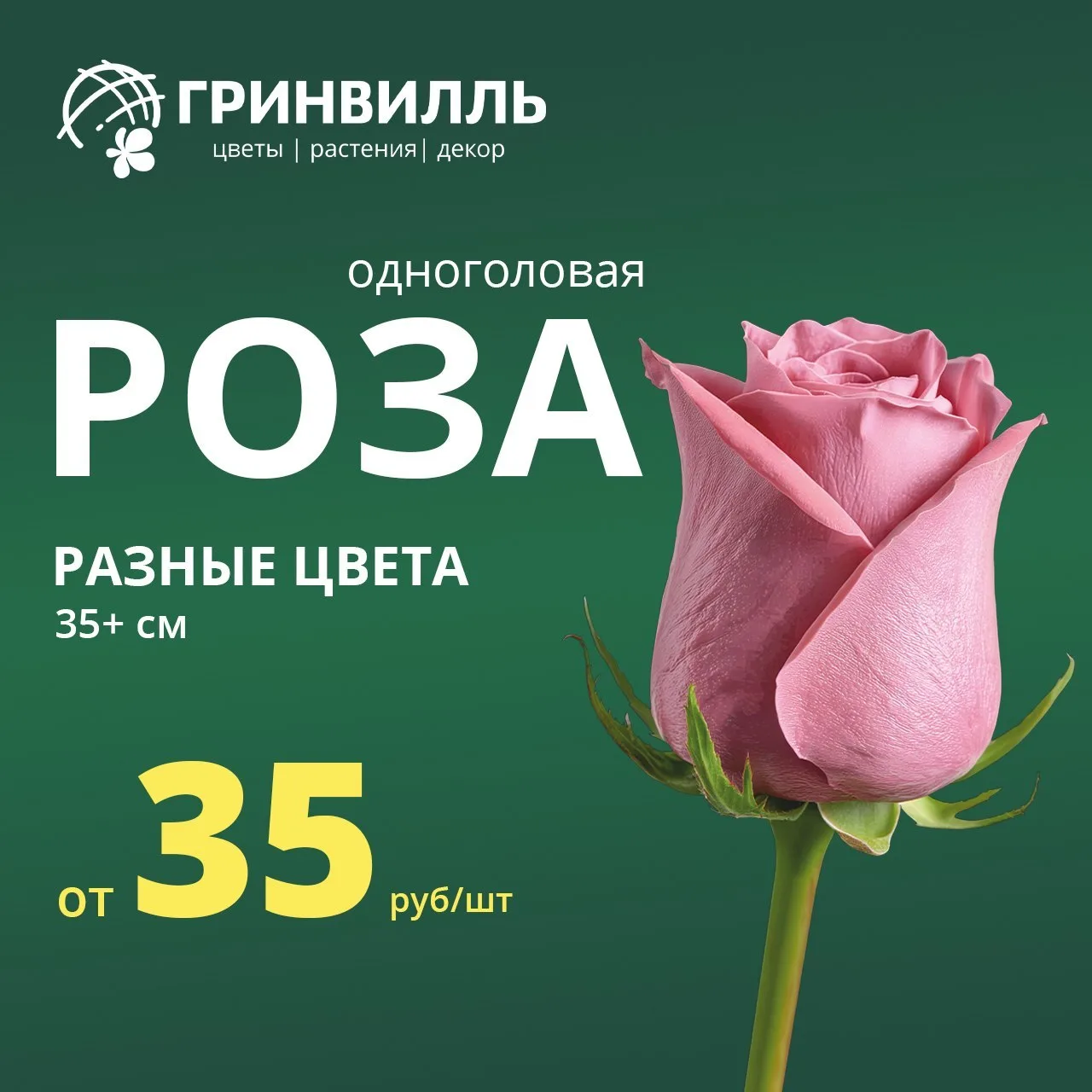 🍂 АКЦИИ ОКТЯБРЯ В ГРИНВИЛЛЬ