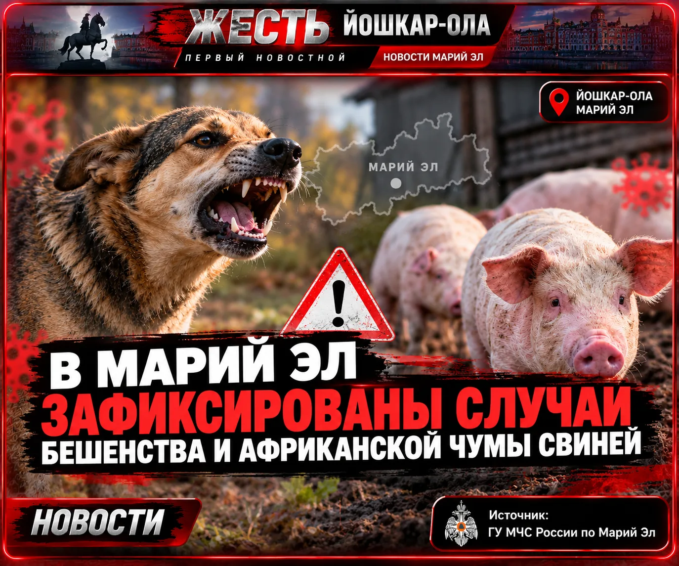 ⚠️ В Марий Эл зафиксированы случаи бешенства и африканской чумы свиней