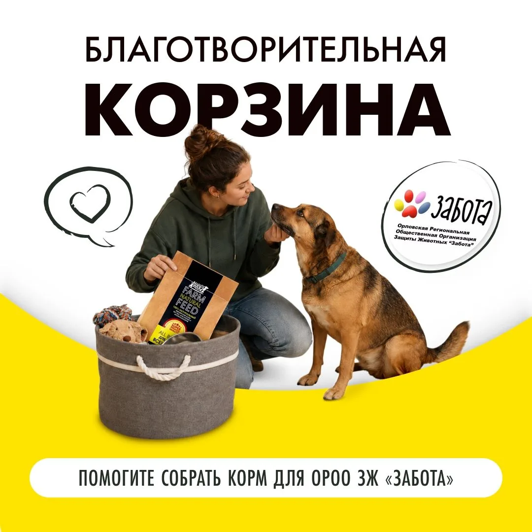 Через 12 часов заканчивается «корзина помощи приютам» для ОРОО ЗЖ "Забота", город Орел....