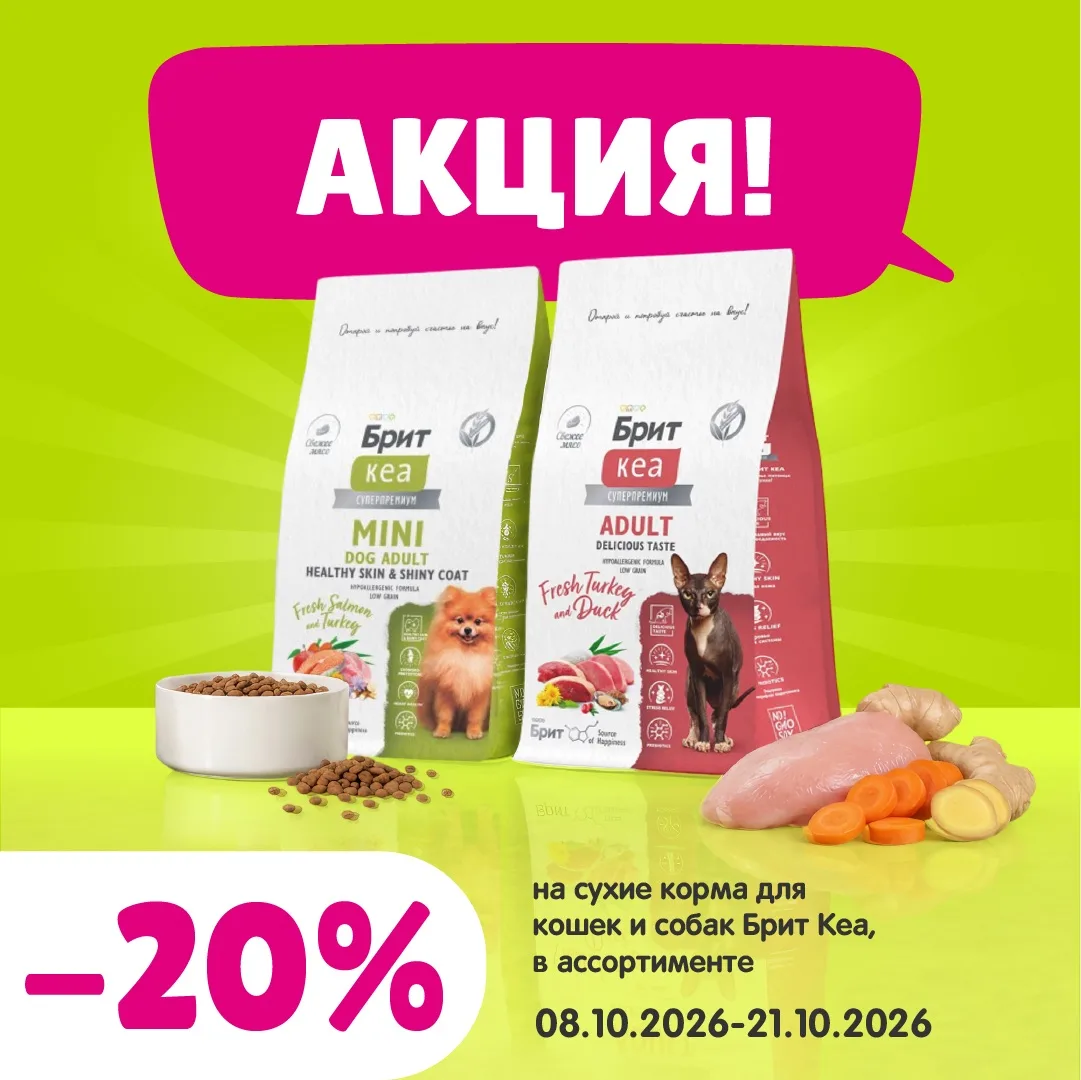 🎊 Полезный рацион с приятной скидкой!