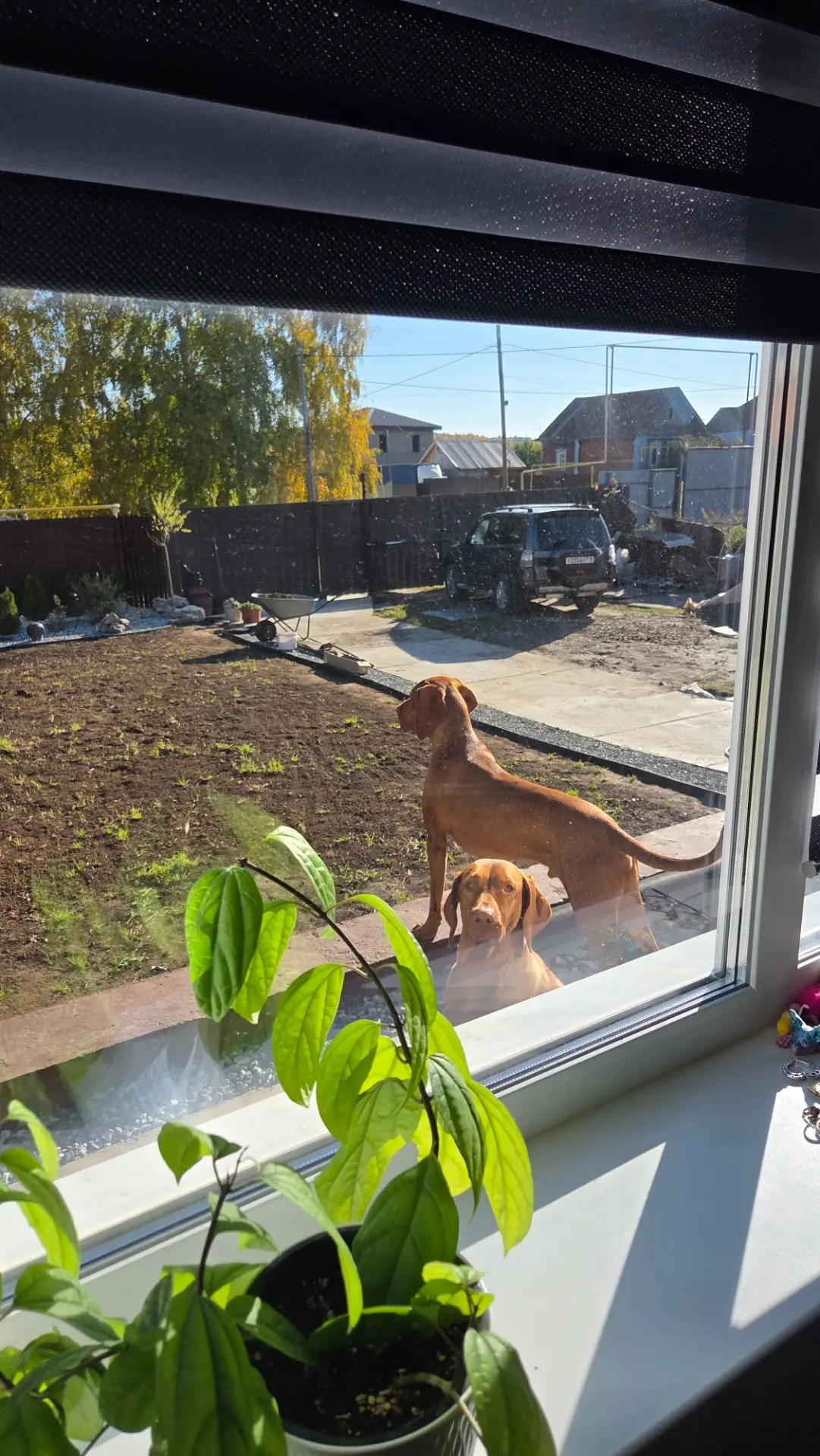 Воскресное утро.