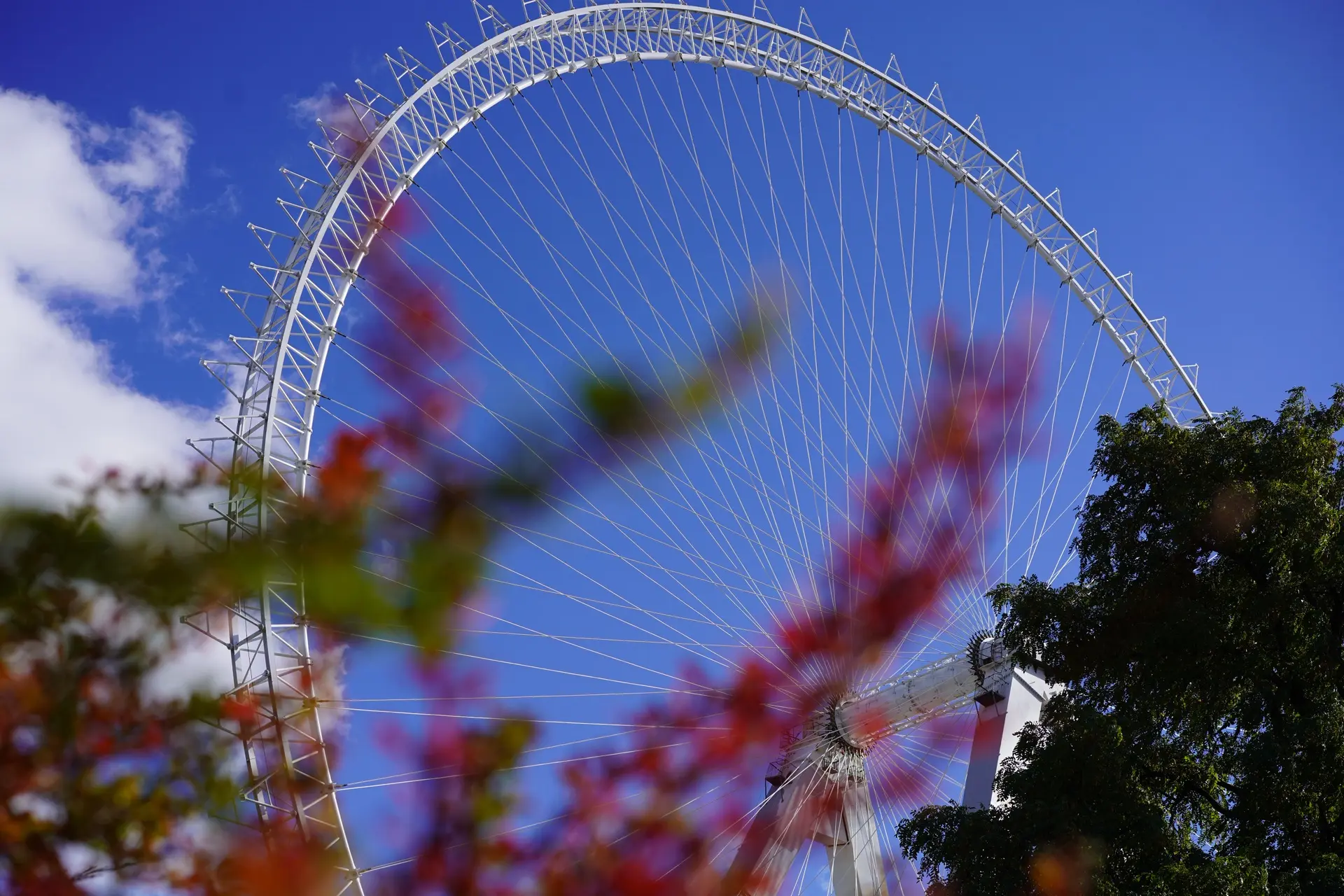 🎡 Будьте среди первых