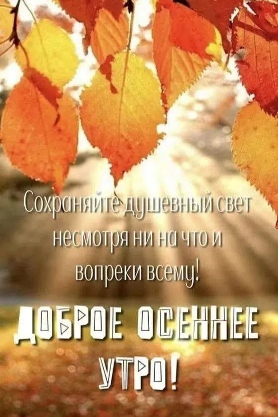 🍁🔆🍁🔆🍁