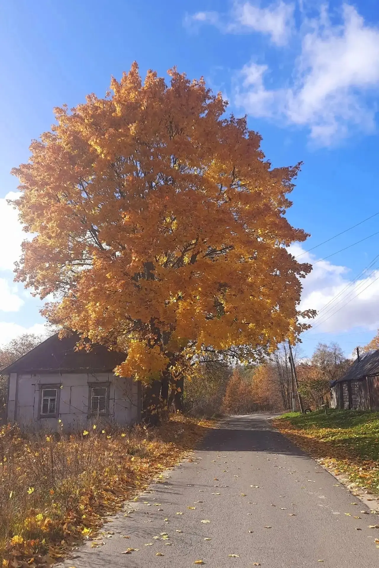 Село Старый Кривец. Осень 🍁
