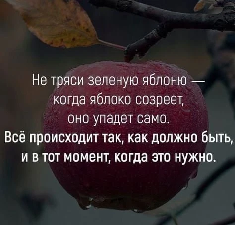 Смысл в каждой фразе — Подпишись