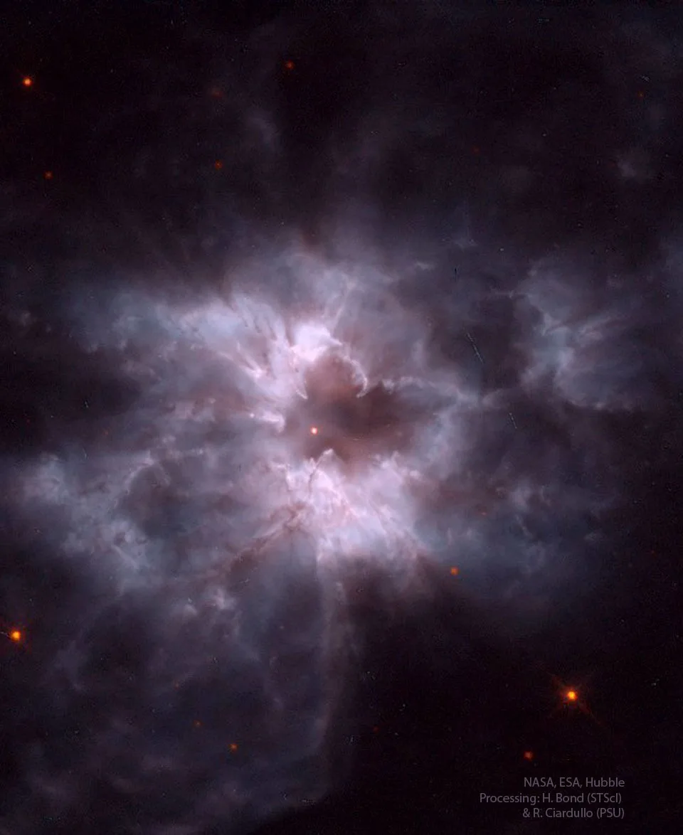 NGC 2440: кокон новорождённого белого карлика [Космокадр 24.12.2023]