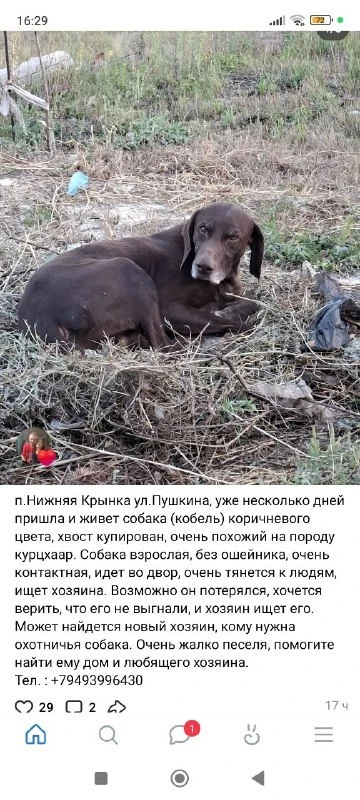 Подписаться: