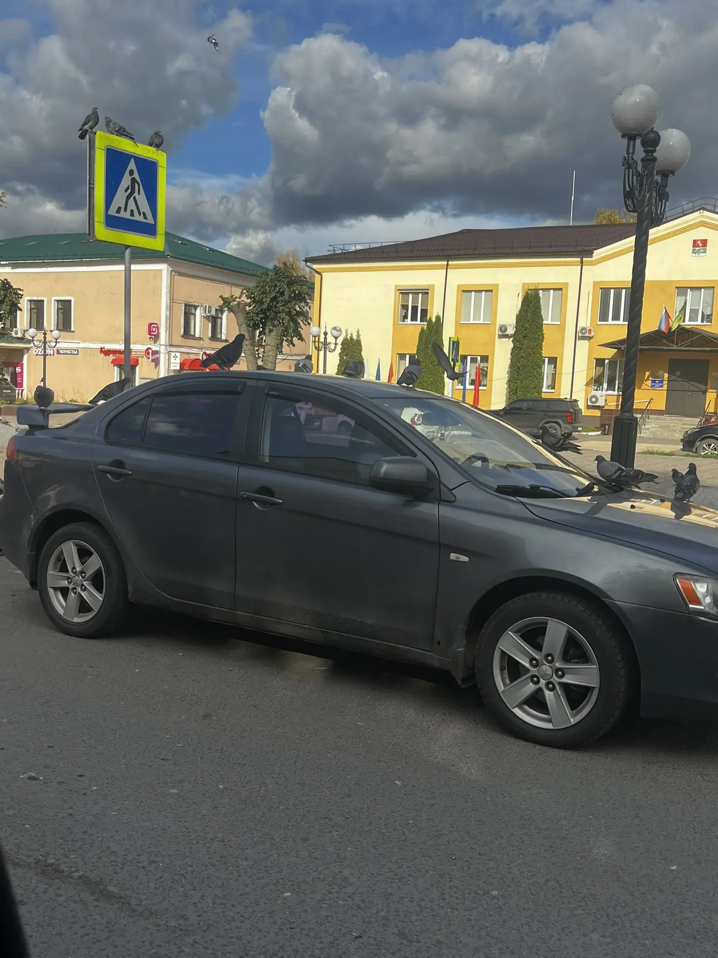 На центральной площади голуби уже ничего не боятся — стаями бросаются на машины! Админи...