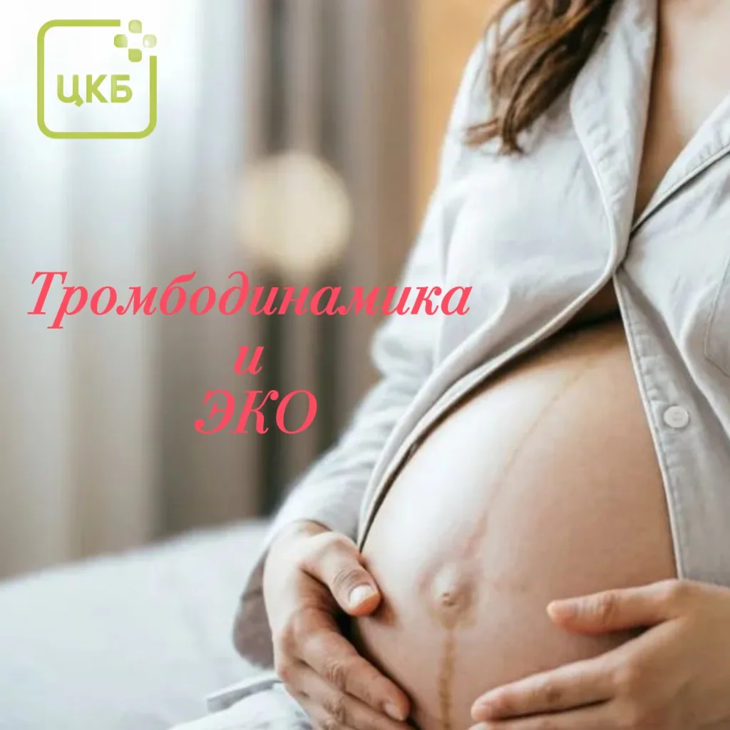 Что такое тромбодинамика❓