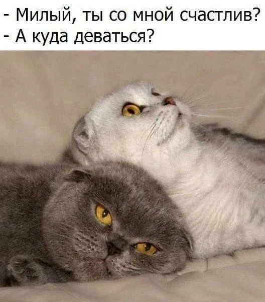 😅Православные тоже шутят - Позитивный канал, с доброй и душевной атмосферой.