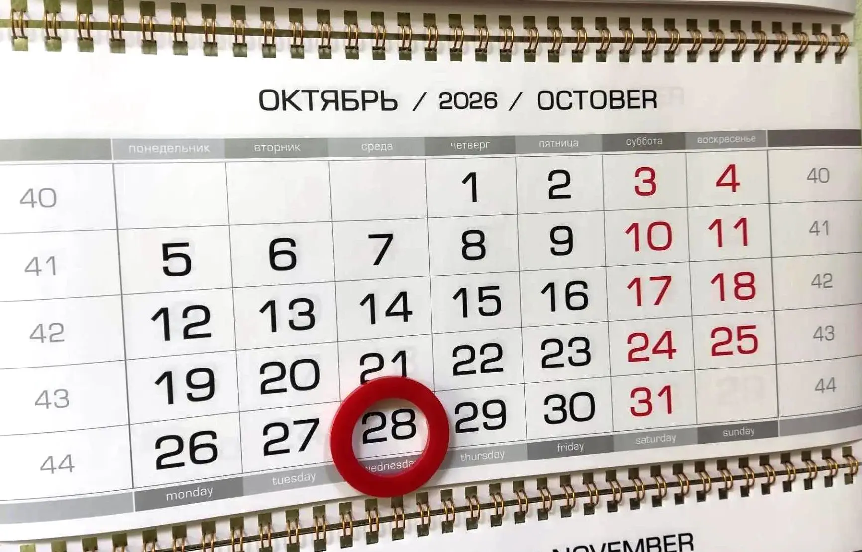Сроки уплаты налогов