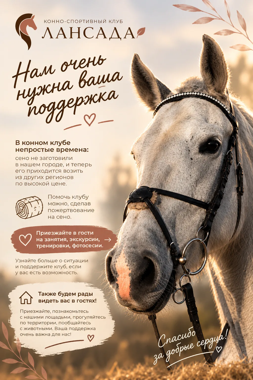 🤎 Лансада нуждается в вашей поддержке!