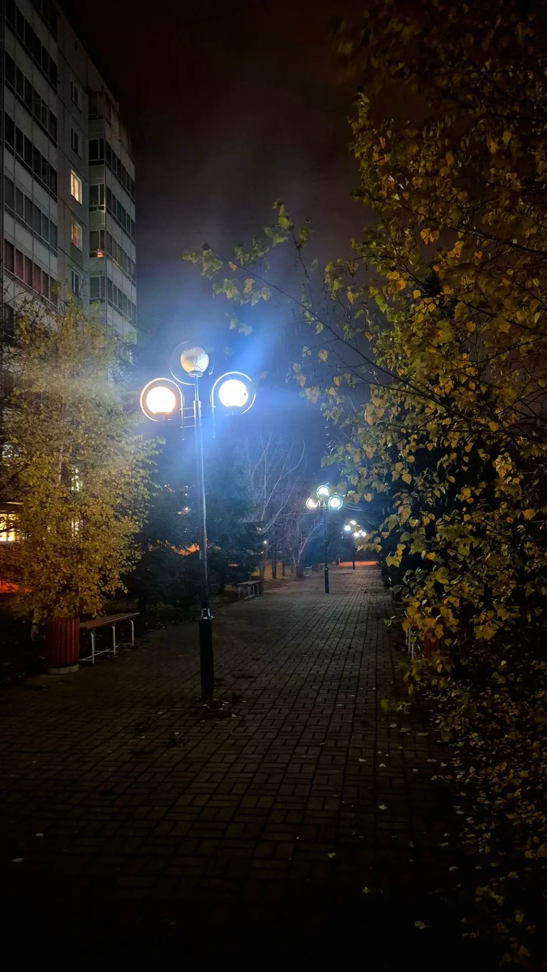 Прогулялись немного, на улице очень холодно, как то по зимнему даже🥶