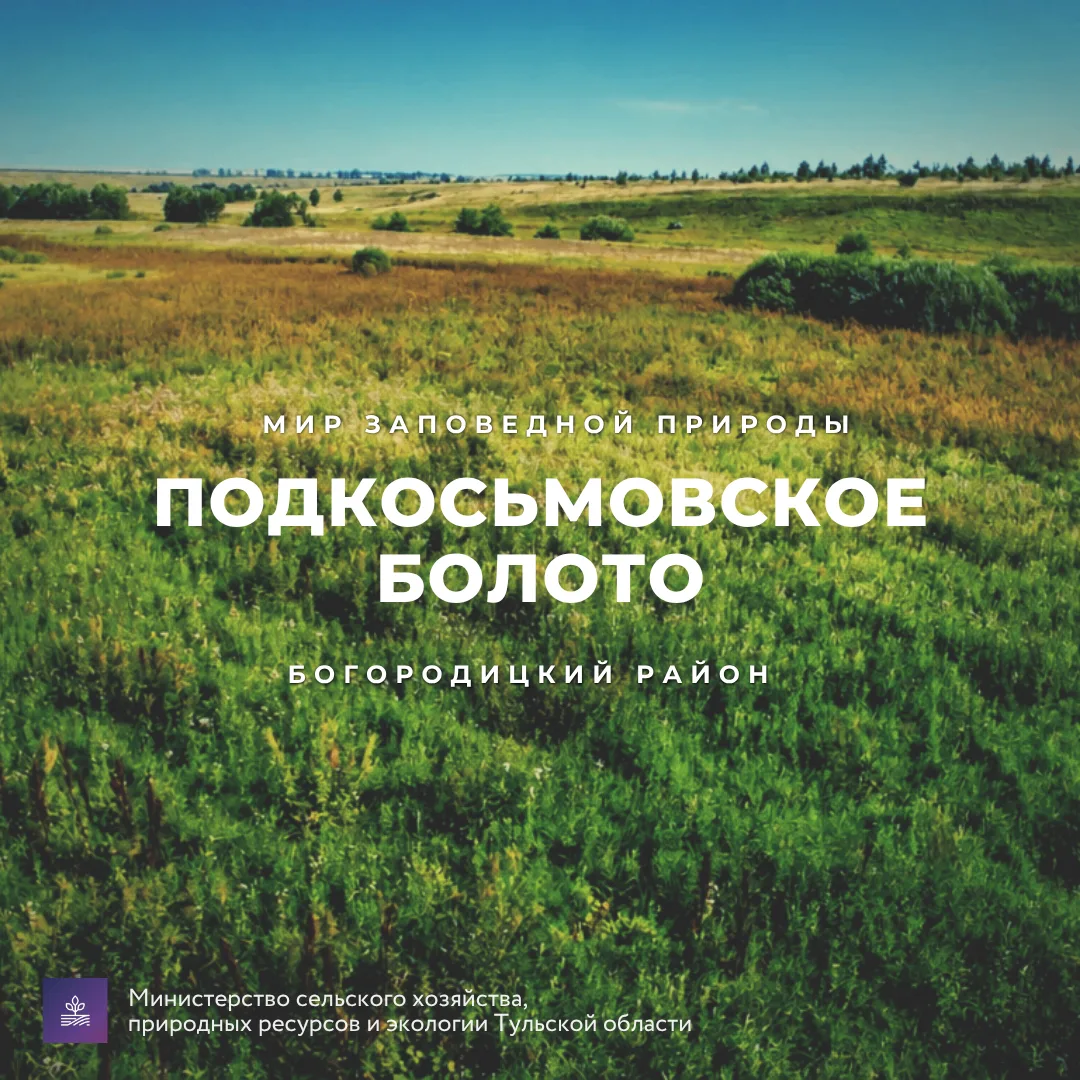 #Красотародногокрая