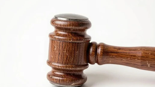 Воронежский суд взыскал с виновницы ДТП полмиллиона в пользу пострадавшего ребенка и ег...