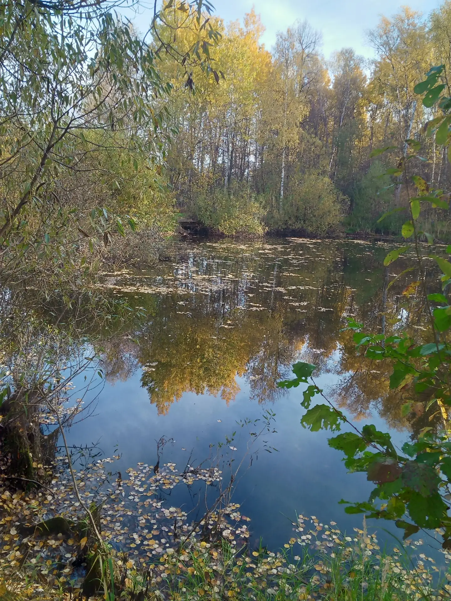Отражение осеннее