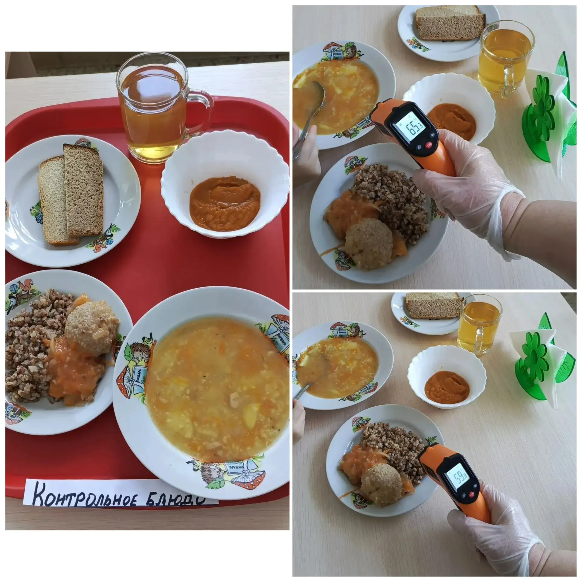 МОУ «СОШ №2 им. Димитрия
