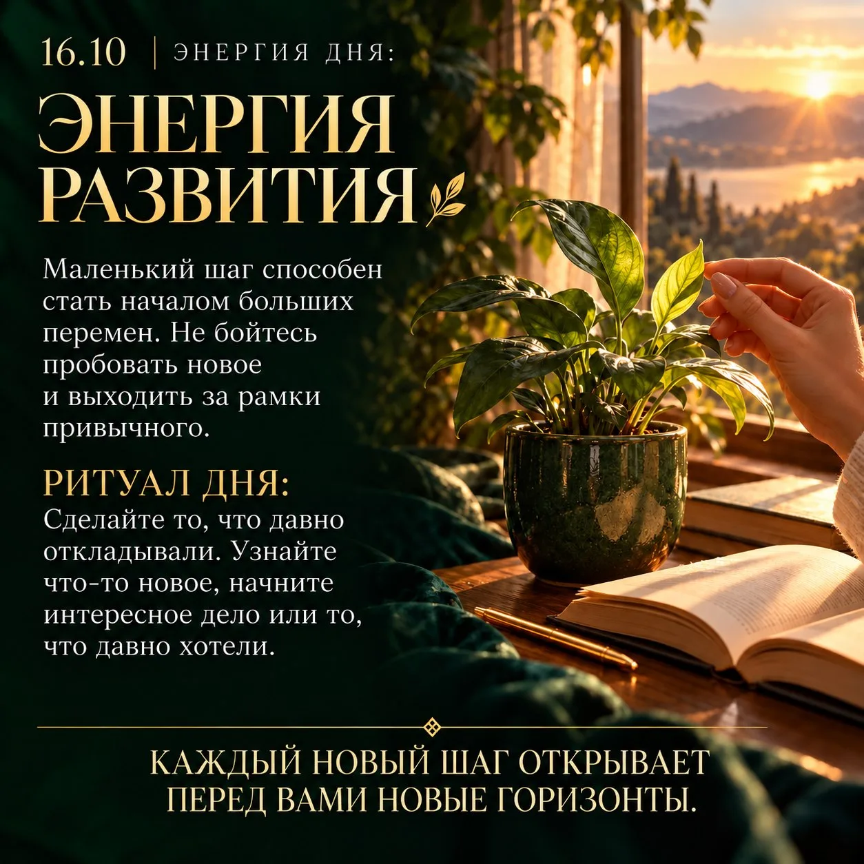 Энергия развития 💫